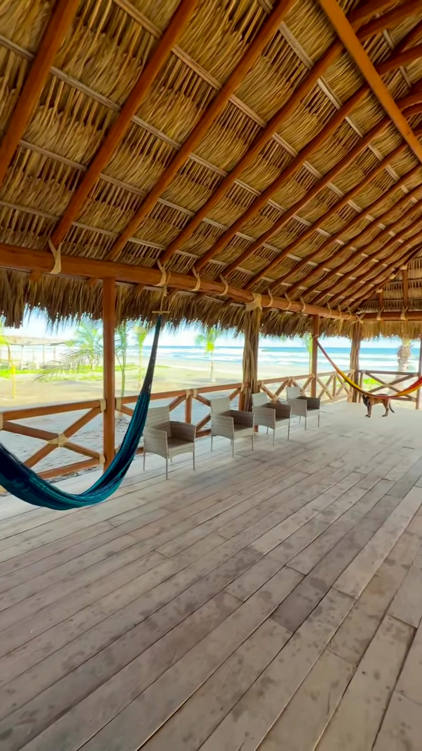 Palapa con hamacas frente a la playa