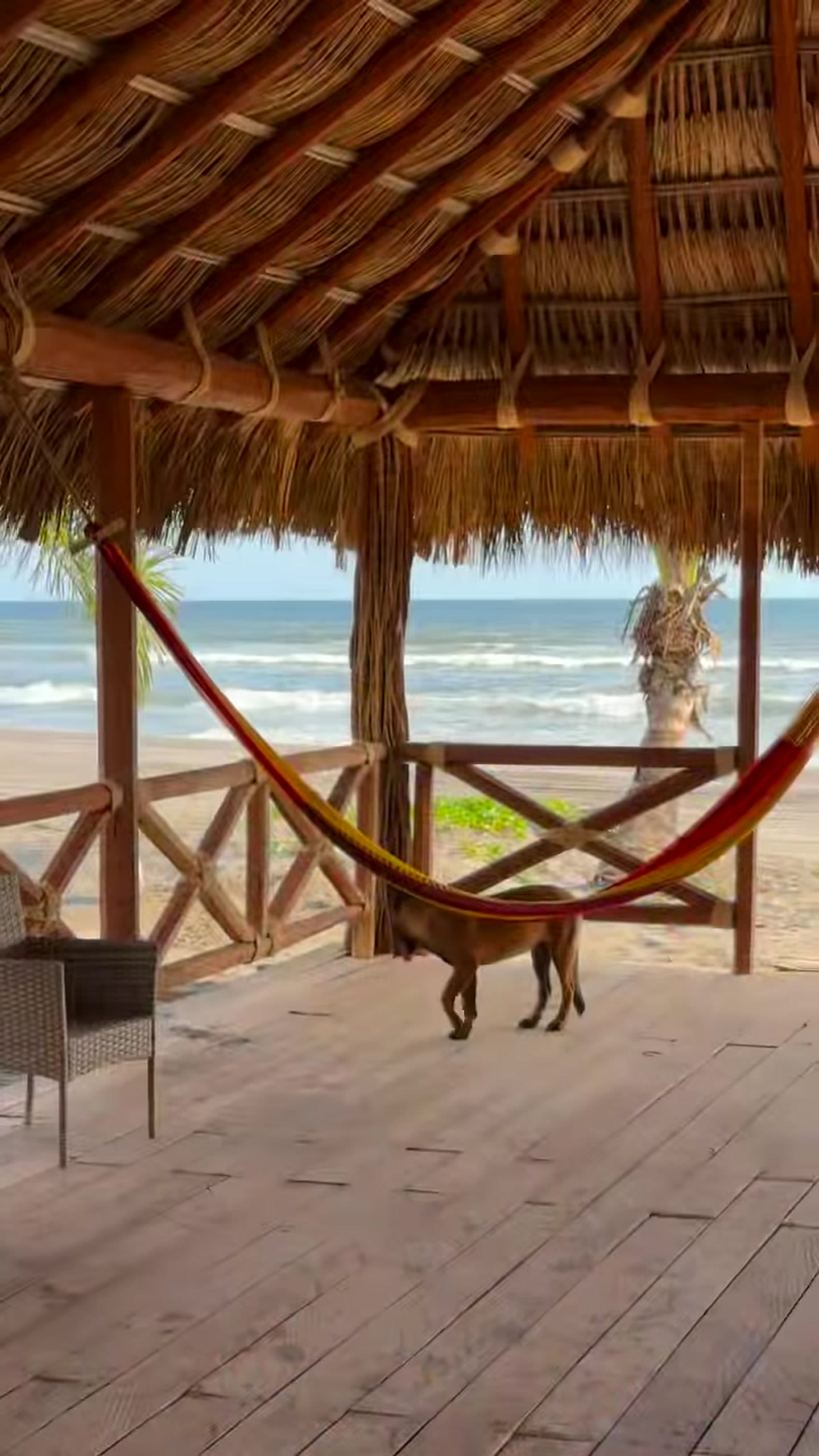 Palapa exterior junto a la playa